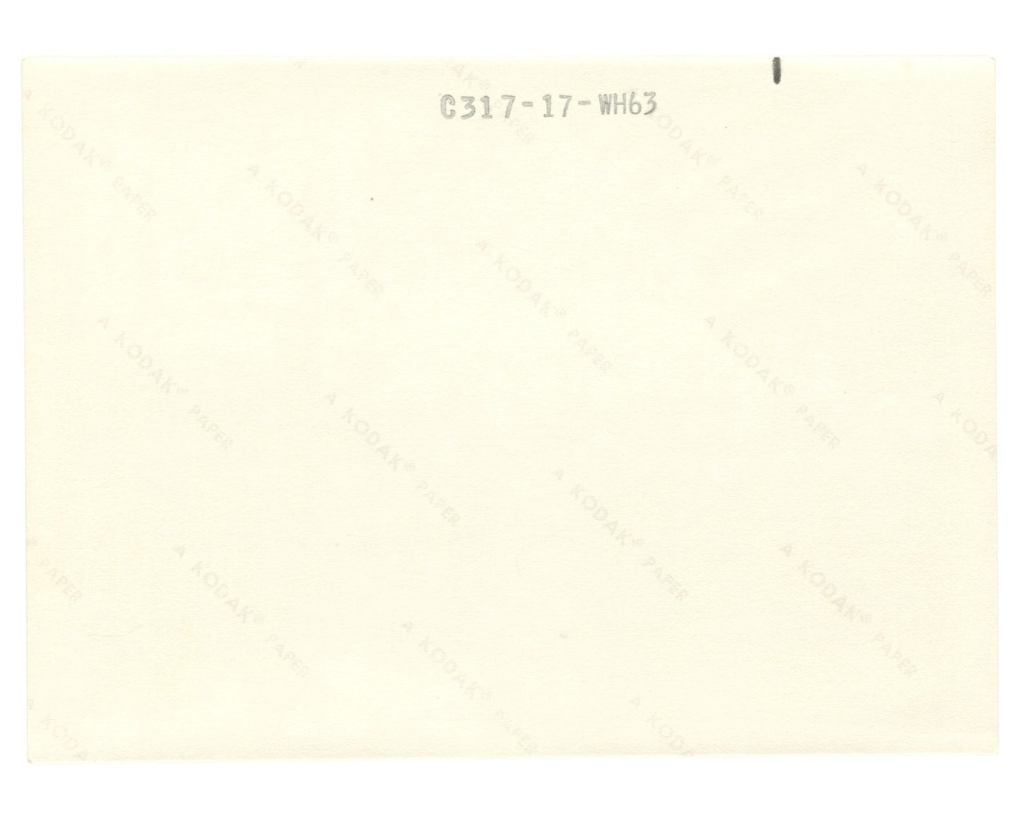 President John F. Kennedy Arrives on Air Force One Ex. Stoughton Original Photo