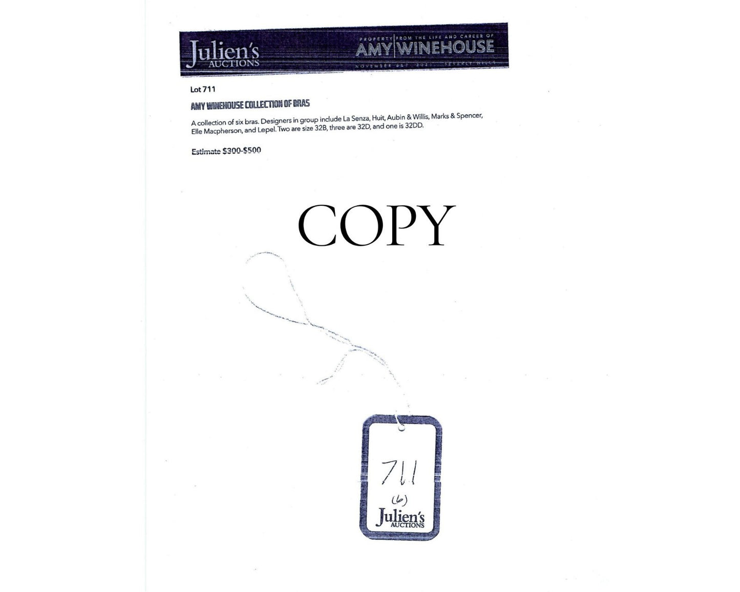 Amy Winehouse's Personally Owned Bra Fabric - Removed from Cup! Ex. Juliens, RR