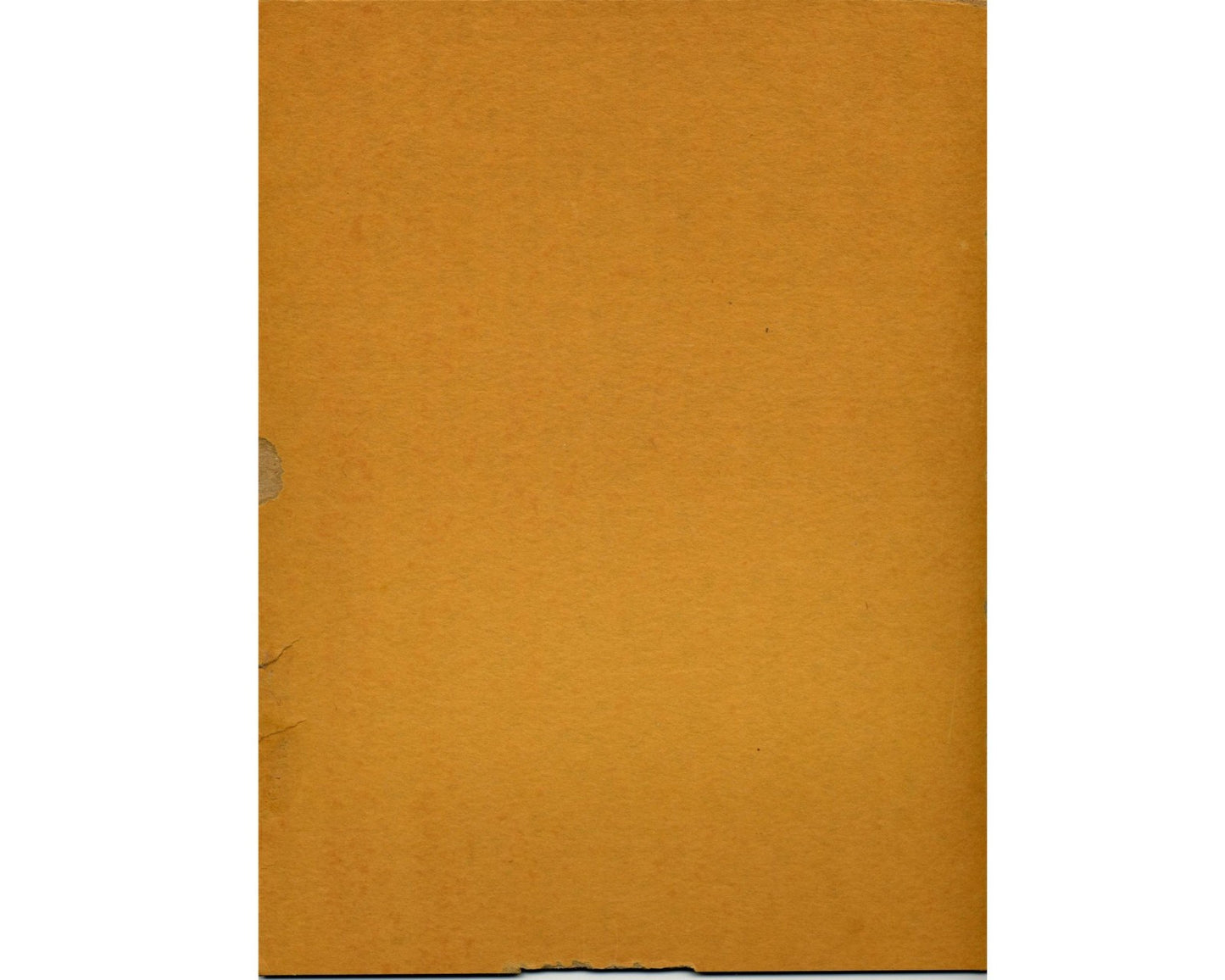 President Lyndon B. Johnson & Lady Bird Signed Photograph PSA Mint 9 Autograph