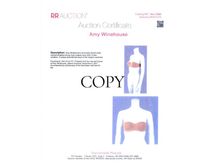 Amy Winehouse's Personally Owned Bra Fabric - Removed from Cup! Ex. Juliens, RR