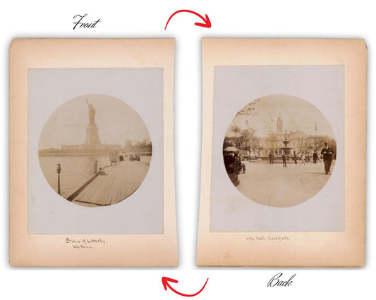 Fantastic Statue of Liberty and New York City Hall Mounted Albumen Photograph