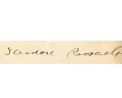 President Theodore Roosevelt Seeks to Re-Enter Combat PSA Historic Signed Letter