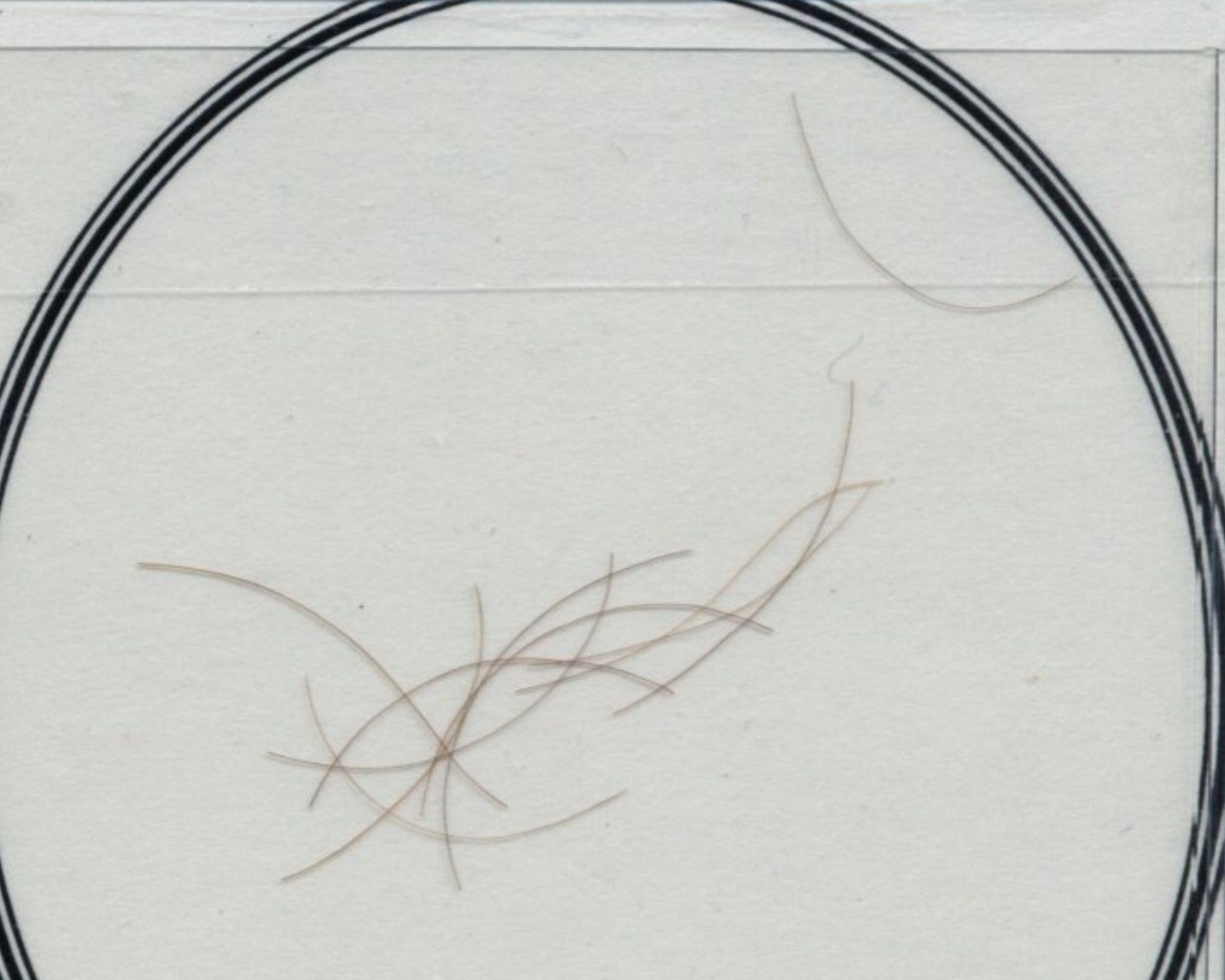 10+ Strands of Alexander Hamilton Hair - University Archives Provenance