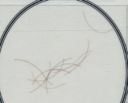 10+ Strands of Alexander Hamilton Hair - University Archives Provenance
